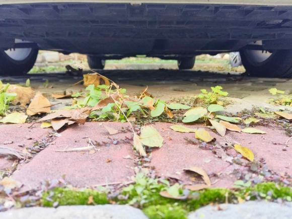 [南通·苏F] 二手奥迪奥迪A32020款 Sportback 35 TFSI 时尚型 国VI