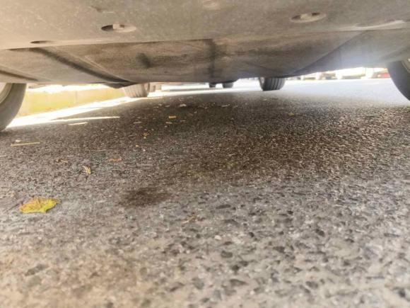 [上海·沪C] 二手福特蒙迪欧2020款 EcoBoost 180 时尚型