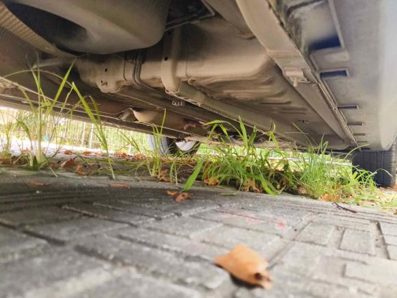 [台州·浙J] 二手吉利汽车帝豪GS2016款 优雅版 1.8L 自动领尚型