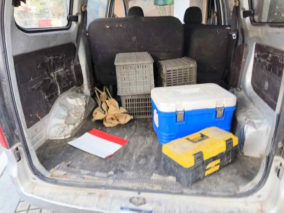 [常州·苏D] 二手五菱汽车五菱宏光V2019款 1.5L劲取版国VI LAR