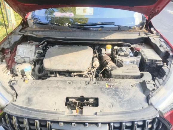 [南京·苏A] 二手哈弗哈弗赤兔2021款 激擎版 1.5T 铂金兔