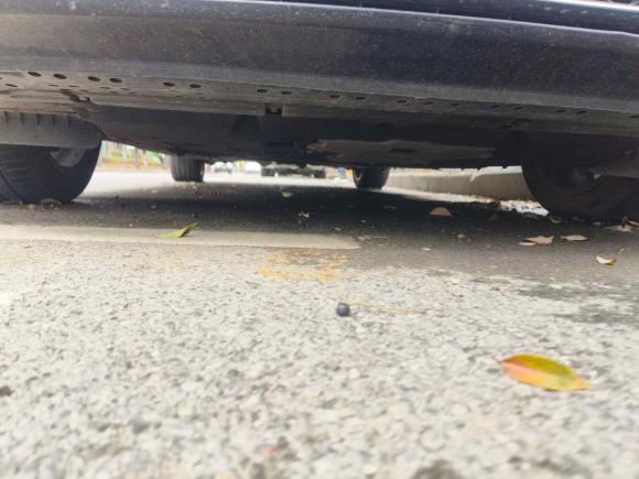 [金华·浙G] 二手红旗红旗H92020款 2.0T 智联旗享版