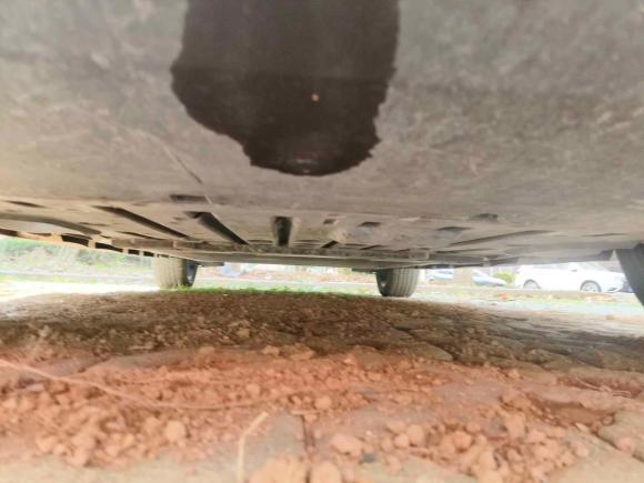 [无锡·苏A] 二手比亚迪海豚2021款 401km 骑士版