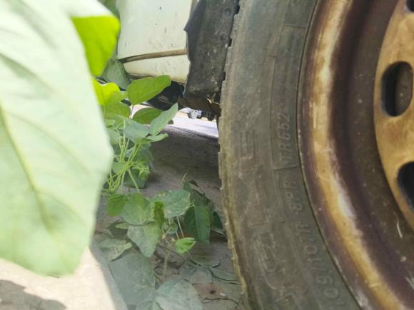 [南通·苏F] 二手江铃特顺2019款 2.8T商运型短轴中顶6座国VI JX493