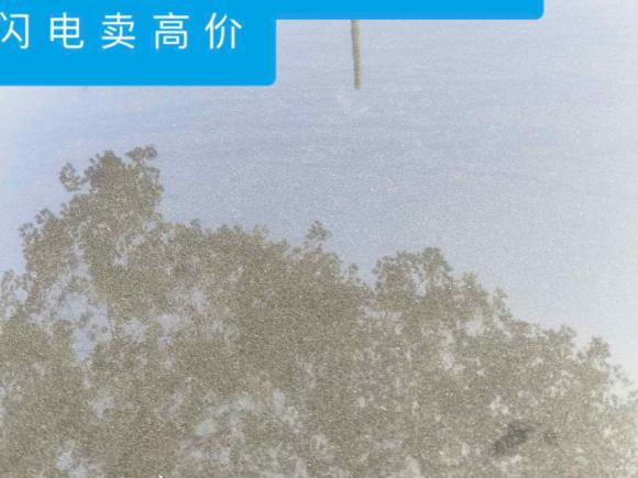 [常州·苏D] 二手日产天籁2019款 2.0L XE 时尚版