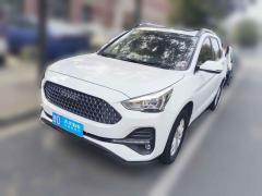 [南京·鲁D]哈弗&nbsp;&nbsp;哈弗M6&nbsp;&nbsp;2019款 1.5T 手动两驱精英型 国VI