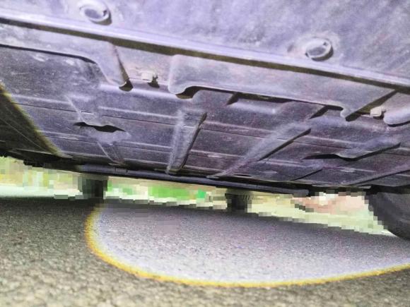 [武汉·鄂A] 二手欧拉欧拉好猫GT2022款 木兰版 480km长续航