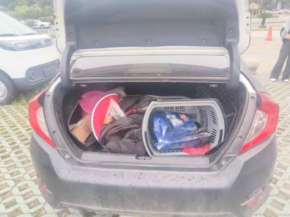 [义乌·浙G] 二手本田思域2019款 220TURBO CVT燃动版 国VI