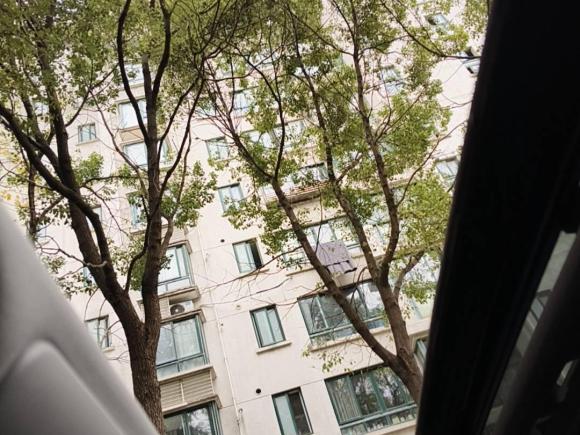 [上海·沪C] 二手大众Polo2014款 1.6L 自动30周年纪念版