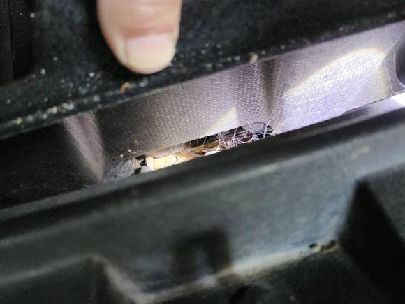 [杭州·浙A] 二手道奇酷威2013款 2.4L 两驱尊尚版