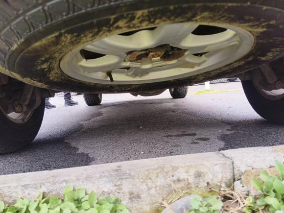 [成都·川A] 二手哈弗哈弗H5经典2013款 智尊版 2.0T手动两驱进取型