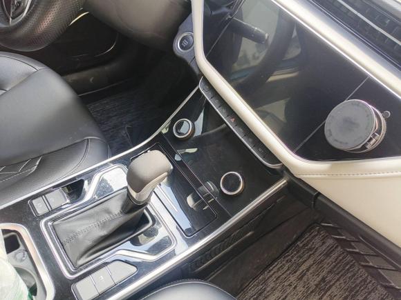 [佛山·粤E] 二手奇瑞艾瑞泽GX2019款 1.5T CVT新型色版 国VI