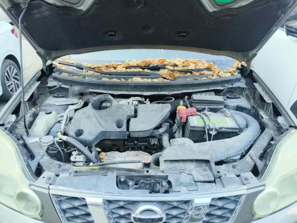 [合肥·皖A] 二手日产奇骏2010款 2.5L CVT豪华版 4WD