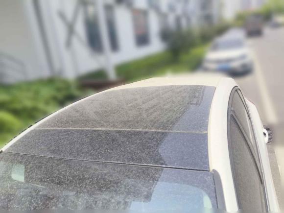 [青岛·鲁B] 二手福特福克斯2019款 两厢 EcoBoost 180 自动锋潮型