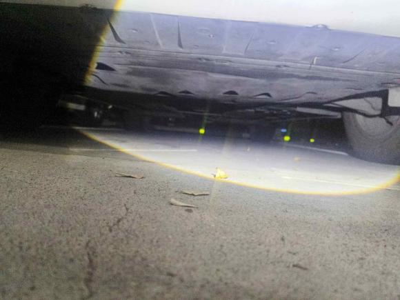 [深圳·粤B] 二手沃尔沃沃尔沃XC602019款 T5 四驱智逸版 国VI