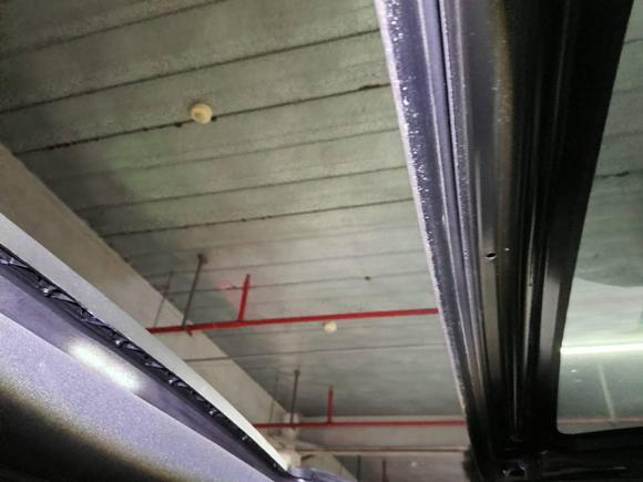 [杭州·苏B] 二手大众甲壳虫2013款 1.4TSI 舒适型