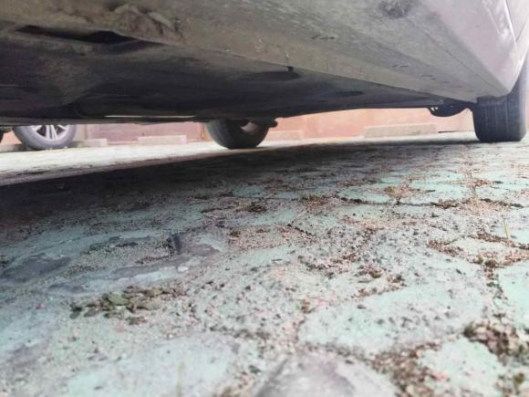 [温州·浙C] 二手福特福睿斯2015款 1.5L 自动舒适型