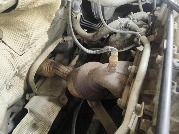 [常州·苏D] 二手斯柯达明锐2019款 1.5L 自动智行豪华版 国V