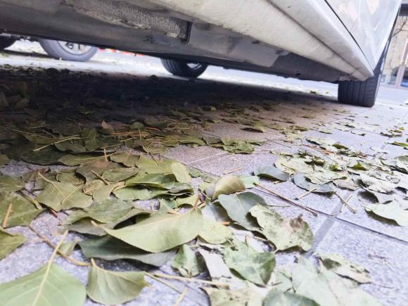 [杭州·浙A] 二手奥迪奥迪A4L2018款 30周年年型 40 TFSI 时尚型