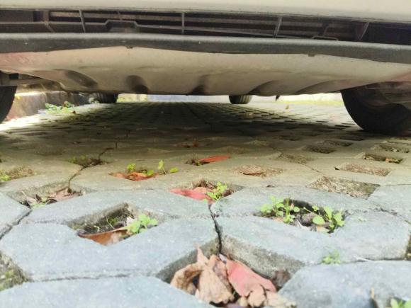 [嘉兴·浙F] 二手宝马宝马1系2013款 改款 116i 都市型