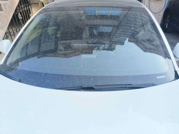 [上海·沪A] 二手特斯拉Model 32019款 标准续航后驱升级版