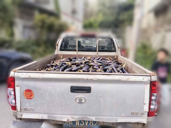 [成都·川A] 二手长城风骏52017款 2.0T欧洲版柴油四驱进取型大双排GW4D20E