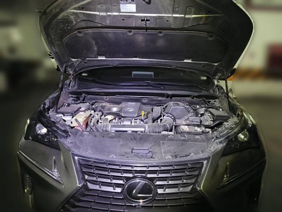 [成都·川A] 二手雷克萨斯雷克萨斯NX2017款 300 全驱 锋尚版