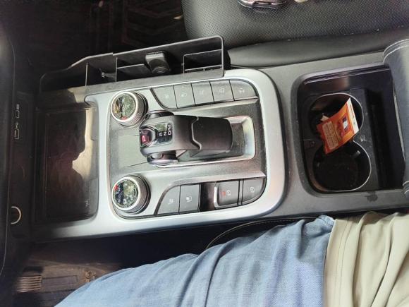 [杭州·浙A] 二手坦克坦克3002021款 城市版 2.0T 很有型