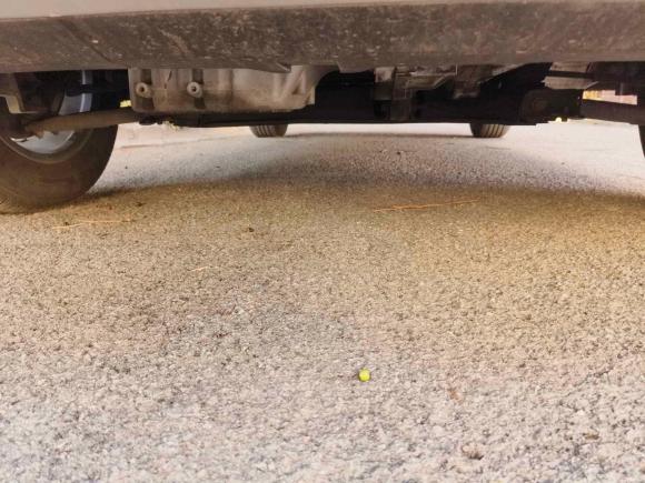 [上海·沪C] 二手凯翼炫界2024款 1.5L 手动豪华版