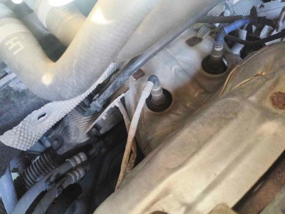 [常州·苏D] 二手福特福克斯2015款 两厢 1.6L 自动舒适型