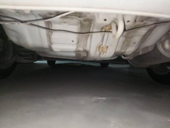 [南京·苏A] 二手本田锋范经典2008款 1.5L 自动精英版