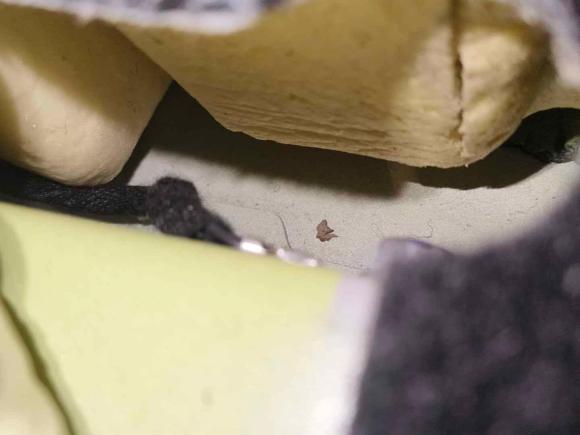 [西安·陕A] 二手深蓝汽车深蓝S072023款 200Max增程版