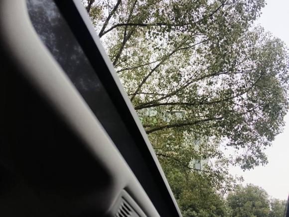 [上海·苏A] 二手大众迈腾2018款 330TSI DSG 豪华型