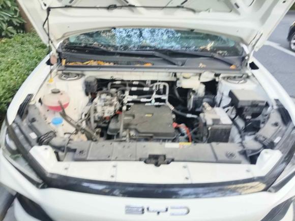 [上海·沪A] 二手比亚迪比亚迪e22023款 舒适型