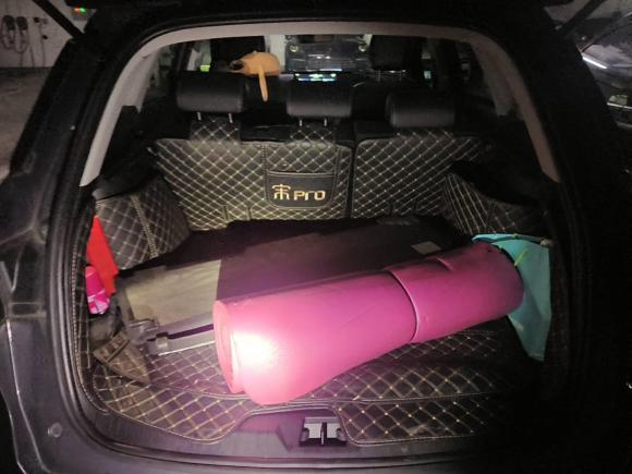 [上海·沪A] 二手比亚迪宋Pro新能源2019款 DM 1.5T 四驱性能版豪华型