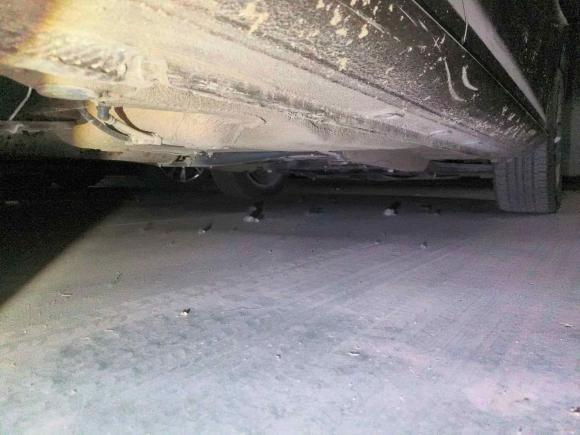 [济南·鲁A] 二手大众宝来2014款 1.6L 自动舒适型