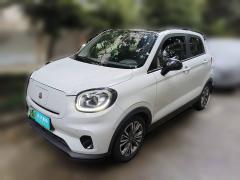 [上海·沪A] 零跑汽车零跑T032020款 400豪华版