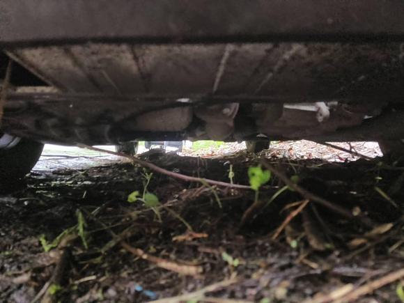 [深圳·粤B] 二手雪佛兰科沃兹2019款 320 自动欣享版