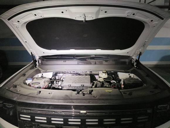 [芜湖·皖B] 二手捷途山海捷途山海T12024款 150km 向海