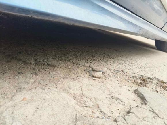 [上海·闽A] 二手上汽大通MAXUS大通G102018款 PLUS 2.0T 自动精英版