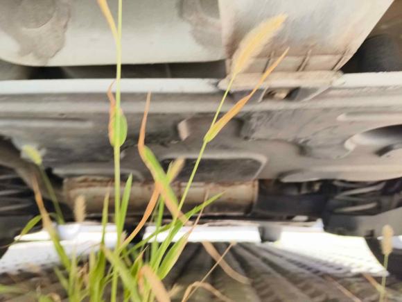 [常州·苏D] 二手标致标致4082014款 1.8L 自动豪华版