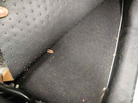 [杭州·浙A] 二手启辰启辰M50V2017款 1.6L XL CVT豪华版