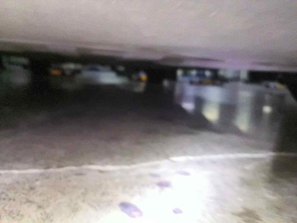 [杭州·浙A] 二手比亚迪海豚2021款 405km 时尚版