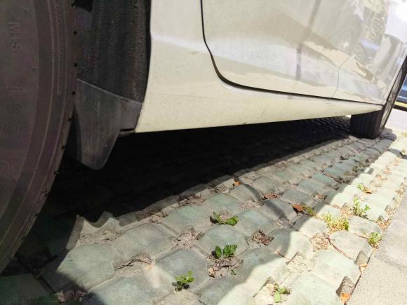 [上海·沪A] 二手大众朗逸纯电2019款 优享版