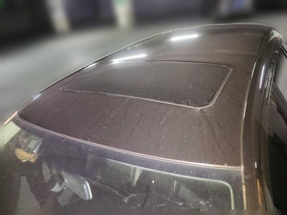 [青岛·鲁B] 二手大众朗行2013款 1.6L 自动舒适型