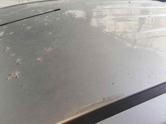 [南昌·赣M] 二手五十铃RE-MAX 瑞迈2016款 2.8T四驱豪华款JE493ZLQ4CA