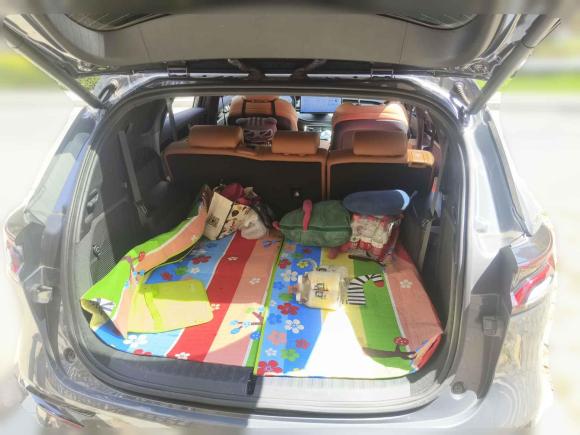 [合肥·皖A] 二手比亚迪唐新能源2023款 DM-i 冠军版 112KM 尊荣型