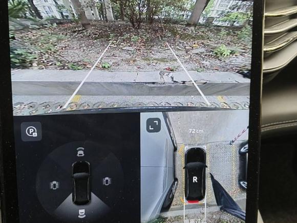 [上海·沪A] 二手蔚来蔚来ES62020款 430KM 性能版