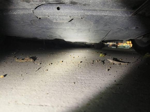 [成都·川A] 二手马自达马自达62015款 2.0L 自动时尚型