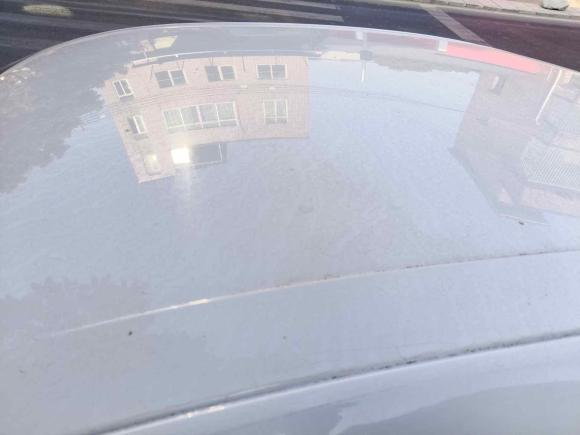 [广州·粤A] 二手福特福睿斯2019款 1.5L 手动质享型